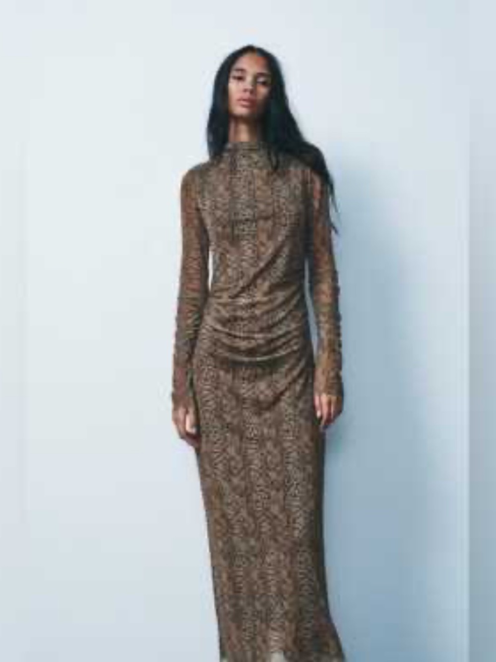 Zara Draped Tulle Dress
